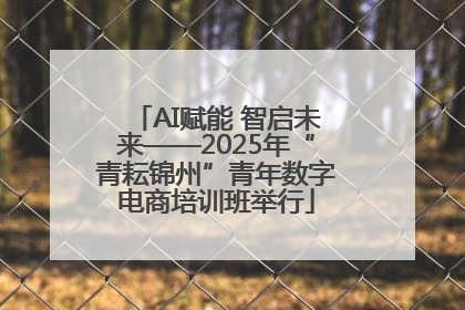 AI赋能 智启未来——2025年“青耘锦州”青年数字电商培训班举行